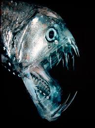 The Scariest Creatures Found 7 Miles Underwater Deep Sea Creatures Ocean Creatures Deep Sea Life