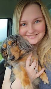 Dachshund owners share photos of their pets