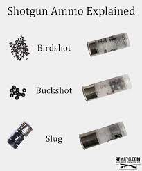 Have you ever wondered which ammunition is best for home defense purposes? Shotgun Shells Explained Types Of Ammo Birdshot Buckshot Slugs