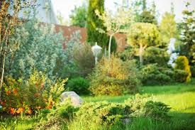 Rental properties with lawns, landscapes, or yards come with a lot of confusion both on the landlord's part and the tenant's part. About Us Irrigation Landscape Solutions Lakewood Co Nationscapes