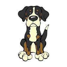 Greater Swiss Mountain Dog | Swiss mountain dogs, Greater swiss mountain dog,  Dog template