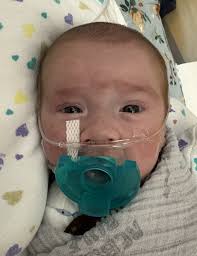 Obituary information for Finnigan T. Quinn