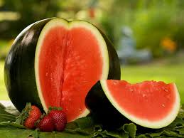 Watermelons don't continue ripening after they are picked, so harvest time is important. What Are Sugar Baby Watermelons Tips On Sugar Baby Watermelon Care