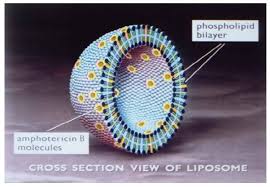 Amphotret 50mg injection letsmeds provides generic medicine at wholesale price at your home anywhere any country in the world such as uk, usa, france, japan, australia, china, russia, malaysia, thailand many other countries. Ambisome Amphotericin B Liposome For Injection