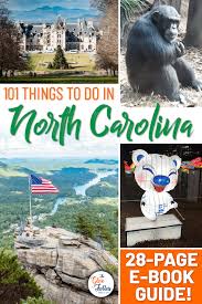 90 Things To Do On The Outer Banks Nc The Glovetrotters In 2020 North Carolina Travel Family Adventure Travel Usa Travel Guide
