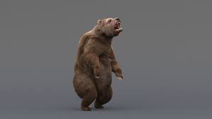 3d Model Bear Fur Hair Animation Turbosquid Animation 3d Model Bear