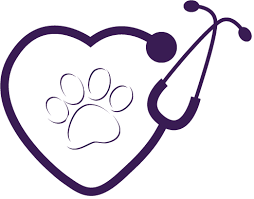 Download Heart Stethoscope Svg 494x387 Png Clipart Download