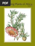 Image result for Stathmostelma pauciflorum