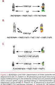 Berbaris panjang dan ambil nombor giliran untuk membeli dan makan keropok lekor. Figure 1 From Atypical Cytogenetic Presentation Of T 11 14 In Mantle Cell Lymphoma Semantic Scholar