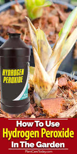 Hydrogen Peroxide For Plants How To Use H2o2 In The Garden