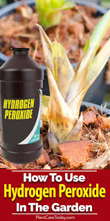 hydrogen peroxide for plants how to use h2o2 in the garden