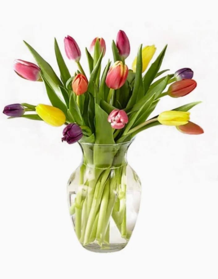 TULIP WITH GLASS VASE product image