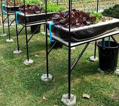 Pin On Aquaponics Hydroponics Urban Farming Aquaculture