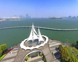 金雞湖夏天的圖片