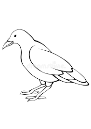Free animals coloring pages to print and download. Coloring Pages Crow Free Printable Coloring Pages Animals