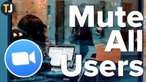 Click participants located in the meeting controls. How To Mute Everyone In Zoom Youtube