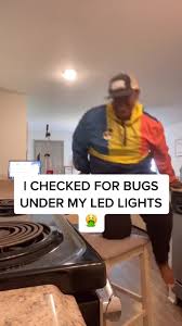Ledlightbugs Hashtag Videos On Tiktok