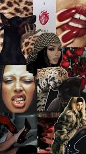 Cheetah print wallpaper: Discover 160 my kinda vibe xx ideas