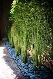 Modern Clean Bamboo Landscape Design Landscape Gardening Jobs In Mumbai Modern Landscape And Design Landscaping With Rocks Modern Landscaping Modern Garden