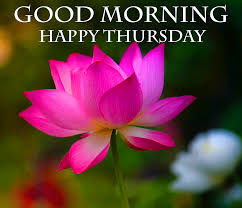Check spelling or type a new query. 35 Good Morning Thursday Images Free Good Morning Images