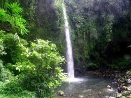 Setiap daerah di indonesia memiliki tempat wisata yang wajib dikunjungi, seperti wisata jogja terbaru. 10 Gambar Curug Cipendok Purwokerto Harga Tiket Masuk Sejarah Asal Usul Lokasi Alamat Jam Buka Tutup Rute Jalan Menuju Wisata Yukpigi Informasi Wisata Terkemuka