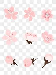 Sakura Flowers Hand Drawn Ai Vector Pink Petals Cherry Blossom Clipart Cherry Blossom Flower Png And Vector With Transparent Background For Free Download Pink Flowers Background Cherry Blossom Petals Pink Watercolor
