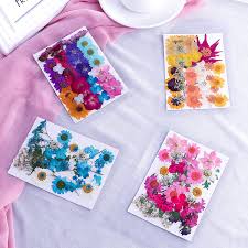 We did not find results for: Buy 146 Pcs Real Natural Dried Pressed Flowers For Resin Dry Flower Bulk Natural Herbs Kit For Candle Epoxy Resin Soap Making Scrapbooking Diy Art Crafts Painting Online In Vietnam B094blcyds