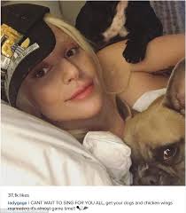 Lady gaga and her trio of french bulldogscredit: Lady Gaga Age Lady Gaga Dog Instagram