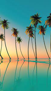 Shop today and design your own today! Palm Trees Phone Wallpapers Wallpaper Cave