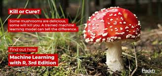Maybe you would like to learn more about one of these? Identifying Poisonous Mushrooms With Rule Learners By Odsc Open Data Science Medium