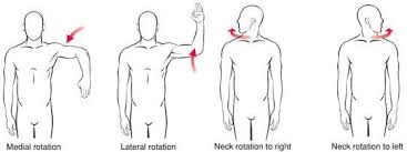 Can you name the muscles of the body from the side?. Anatomy Body Movements Anatomy Drawing Diagram