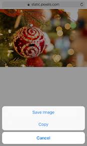 Microsoft also offers a free greeting cards studio app for making photo greeting cards. Christmas Cards Making Custom Designs With Moldiv Tapsmart