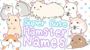 Hamster Name Ideas For Every Kind Of Hamster Over 300 Names Youtube Hamster by marchviolets on deviantart. hamster name ideas for every kind of hamster over 300 names