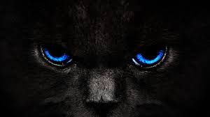 Animals Black Digital Graphic Design Light Wallpaper Eyes Wallpaper Animal Wallpaper Cat Wallpaper