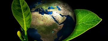 More definitions, origin and scrabble points What Is The Role Of The Environmental Protection Agency Oupblog