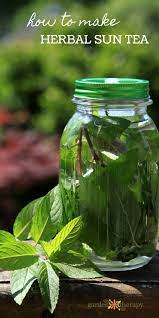 Make Sun Tea Two Ways And Enjoy Hundreds Of Possibilities Recipe Herbal Tea Garden Sun Tea Herbalism
