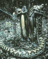 We did not find results for: 47 Ular Terbesar Di Dunia Ideas Snake Largest Snake Giant Snake