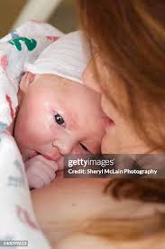 4,020 Mclain Stock Photos, High-Res Pictures, and Images