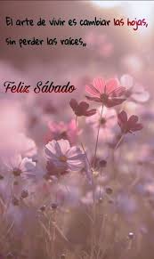 Consejosbiblicos Tarjetas De Feliz Sabado Frases De Buenos Dias Deseos De Buenos Dias