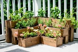 Blumenkasten Fur Balkon Verwandeln Sie Ihren Balkon In Einen Garten Garten Ideen Krautergarten Anlegen Pflanzen