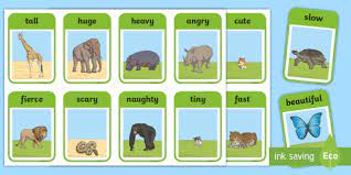 Rabbit is an innocent animal. Zoo Animals Adjectives Flashcards Teacher Made