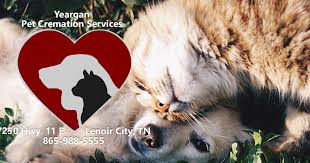 Our services include private cremations, shared cremations, communal burials, a complete equine service, medical waste and sharps collection, general bagged rubbish collection, grief counselling and an extensive range of receptacles, urns and mementoes. Yeargan Pet Cremations Pet Cremation Pricing