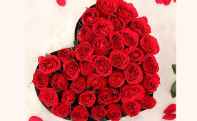 We did not find results for: Unique Gifts To Surprise Your Parents On Their Silver Jubilee