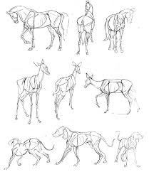 25 Beautiful Animal Drawings For Your Inspiration How To Draw Animals Animal Sketches Animal Drawings Anatomy Art