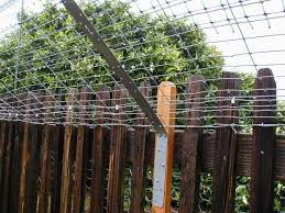Some heavily sloped areas will require a different method of installation, so it's best to seek advice as the method will be. How To Build Your Own Cat Fence Hunker Cat Fence Cat Garden Outdoor Cat Enclosure