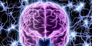 Todo está en nuestro cerebro