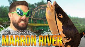 Did I just find the BEST way to make MONEY in Fishing Planet?!