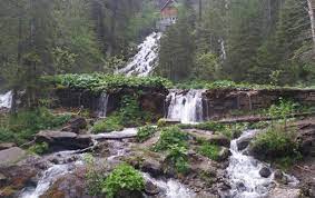 Cea mai curată apă din lume se găsește la noi în țară. Cea Mai Pura Apa Din Lume Se Gaseste In Romania Dar Romanii Nu Stiu Kanal D Romania