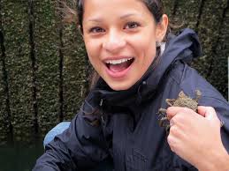 The search for simple indicators of vertical GHG fluxes at Sage Lot Pond