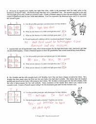 Name the type of cross. Spongebob Genetics Quiz Answer Key Novocom Top